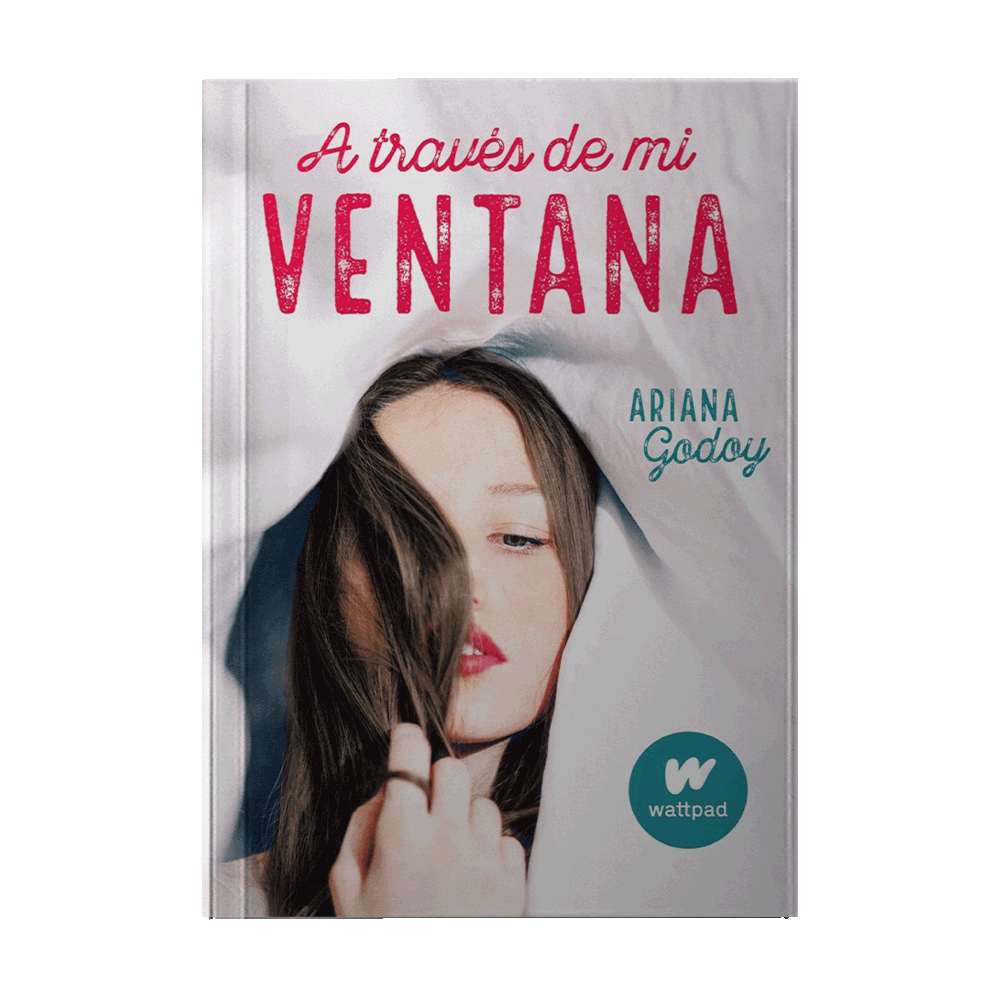 A TRAVES DE MI VENTANA