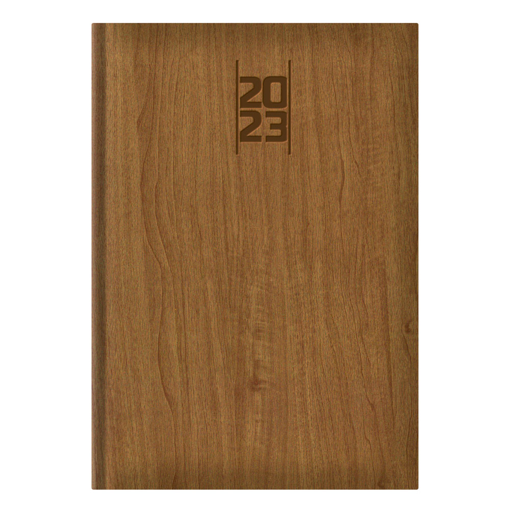 AGENDA DIARIA VIVIONE 2026 | FAST