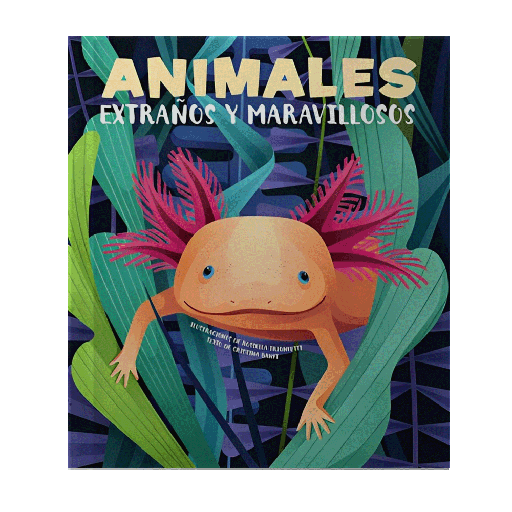 ANIMALES EXTRAÑOS Y MARAVILLOSOS | VVKIDS