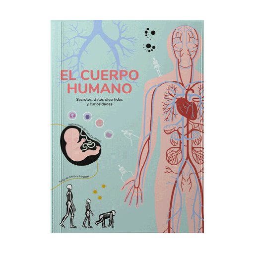 CUERPO HUMANO, EL | MANOLITO BOOKS