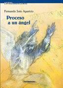 [32005] PROCESO A UN ANGEL | PANAMERICANA