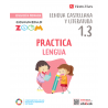 PRACTICA LENGUA 1 ACTIVIDADES. COMUNIDAD ZOOM