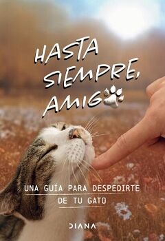 HASTA SIEMPRE AMIGO GATO