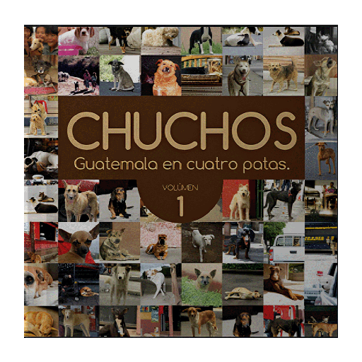 CHUCHOS DE GUATEMALA | DBUK