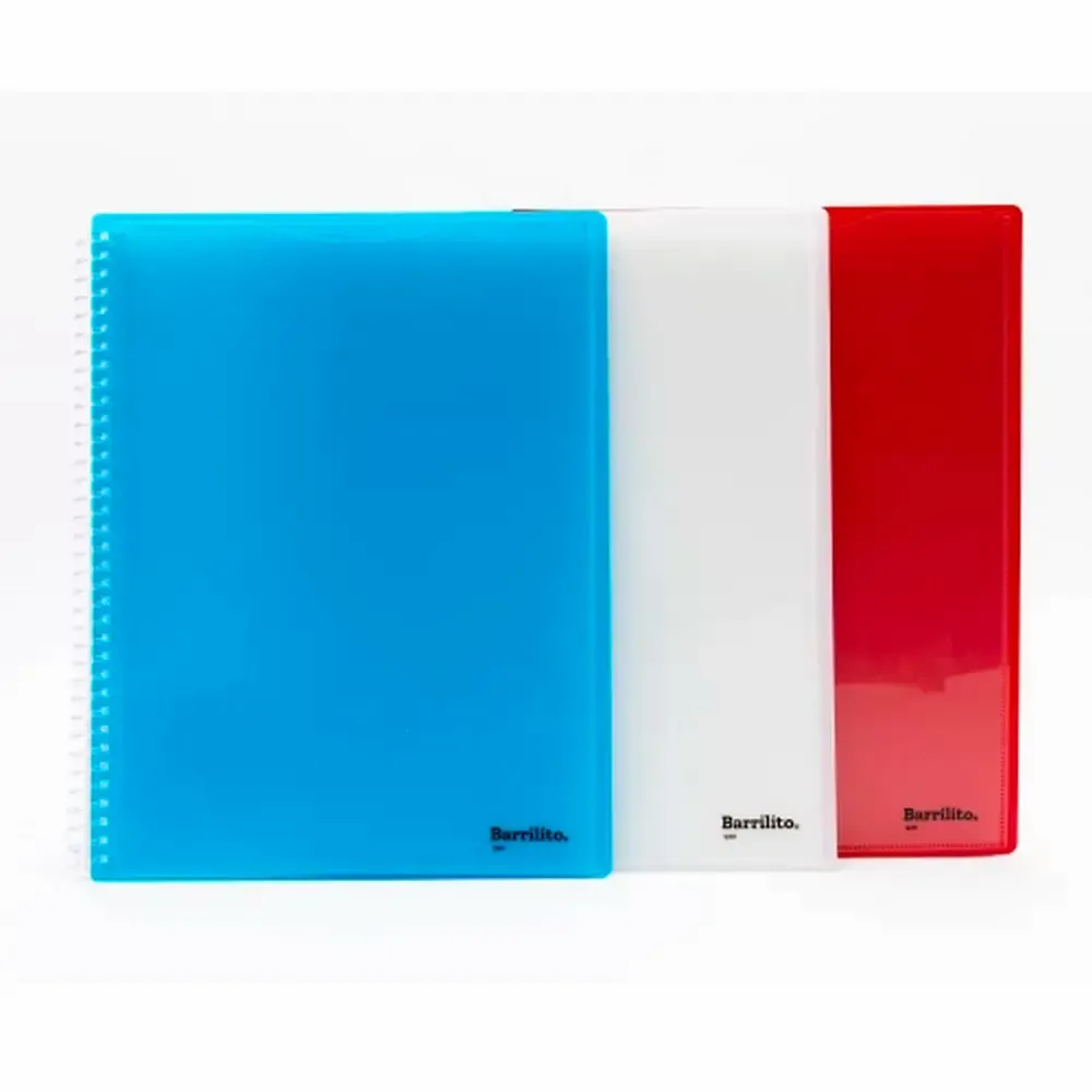 LIBRO DE PRESENTACION CARTA 20 FUNDAS COLORES SURTIDOS