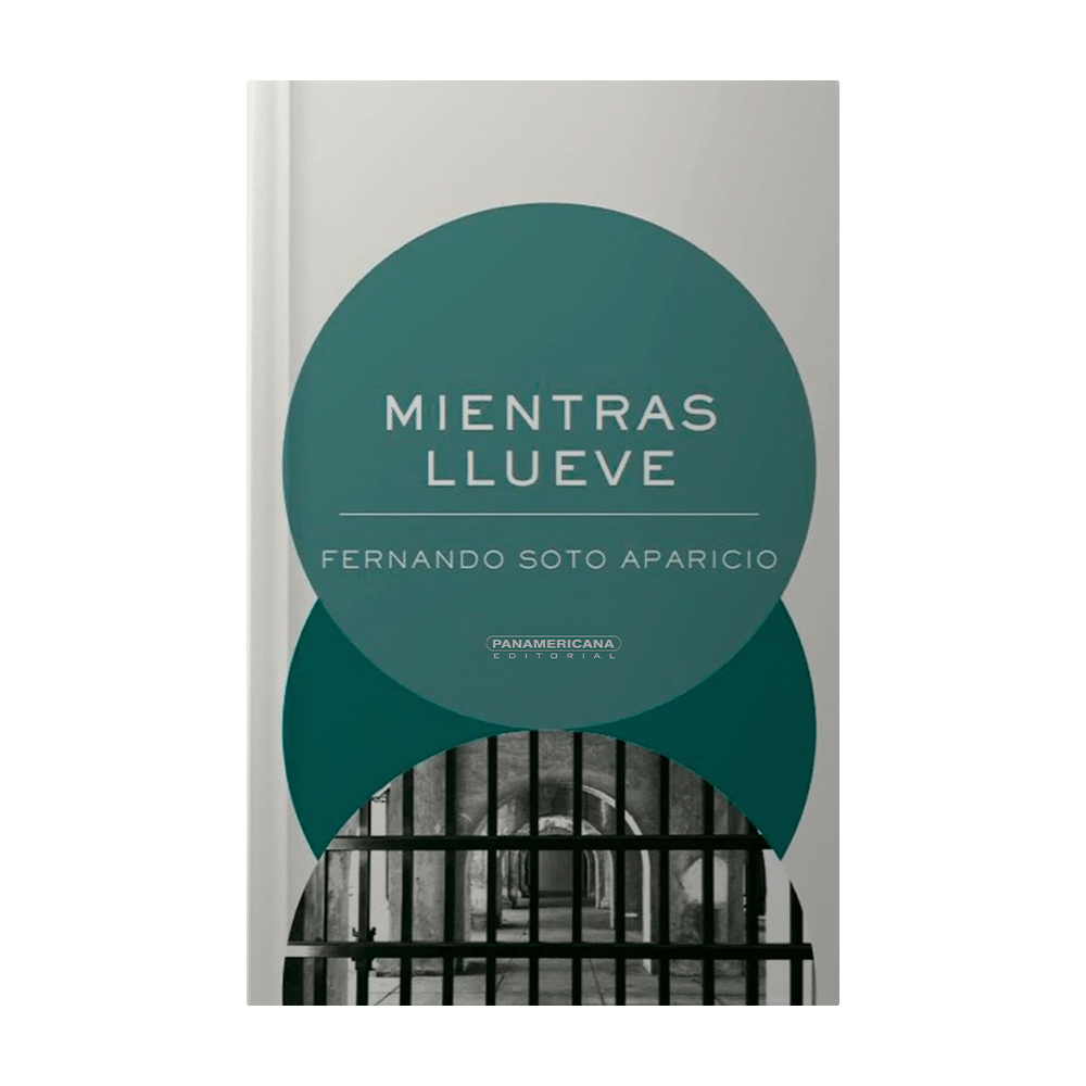 [30070] MIENTRAS LLUEVE | PANAMERICANA