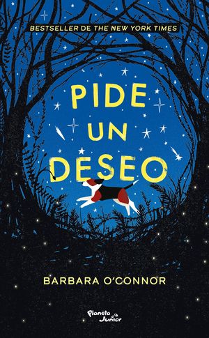 [1202015] PIDE UN DESEO | PLANETA