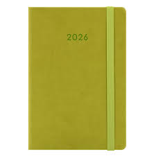 AGENDA DIARIA DIDEX 2026 | FAST