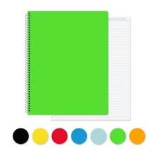 CUADERNO ESPIRAL 100 H DINO | DINO