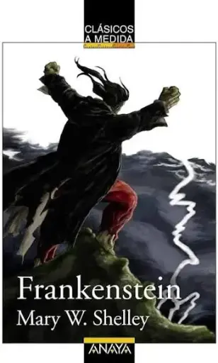 [785365] FRANKENSTEIN | ANAYA INFANTIL Y JUVENIL