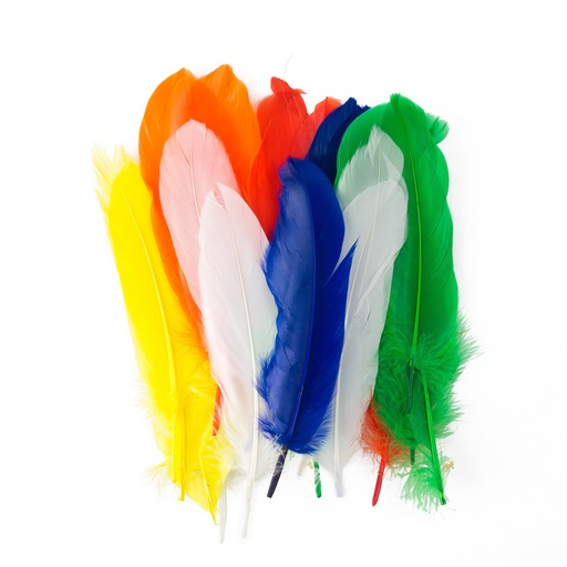 [11768] PLUMAS GRANDES X24 UNIDADES COLORES SURTIDOS | FAST