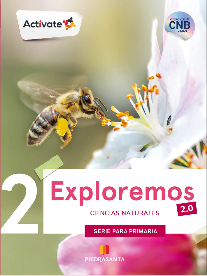 ACTIVATE EXPLOREMOS 2 2.0 BASICO | PIEDRASANTA