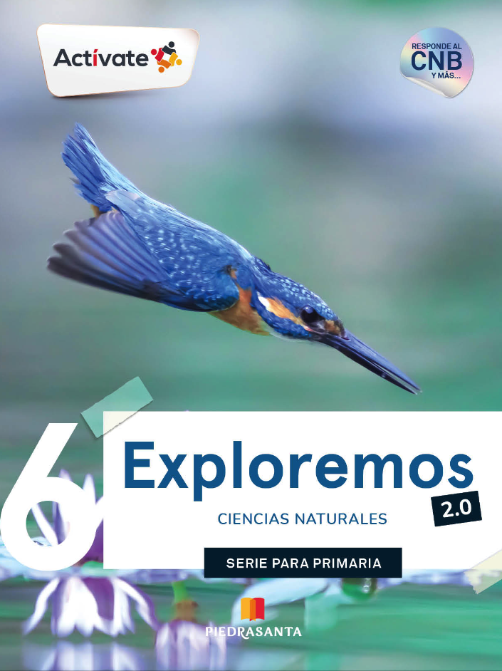 ACTIVATE EXPLOREMOS 6 2.0 BASICO | PIEDRASANTA