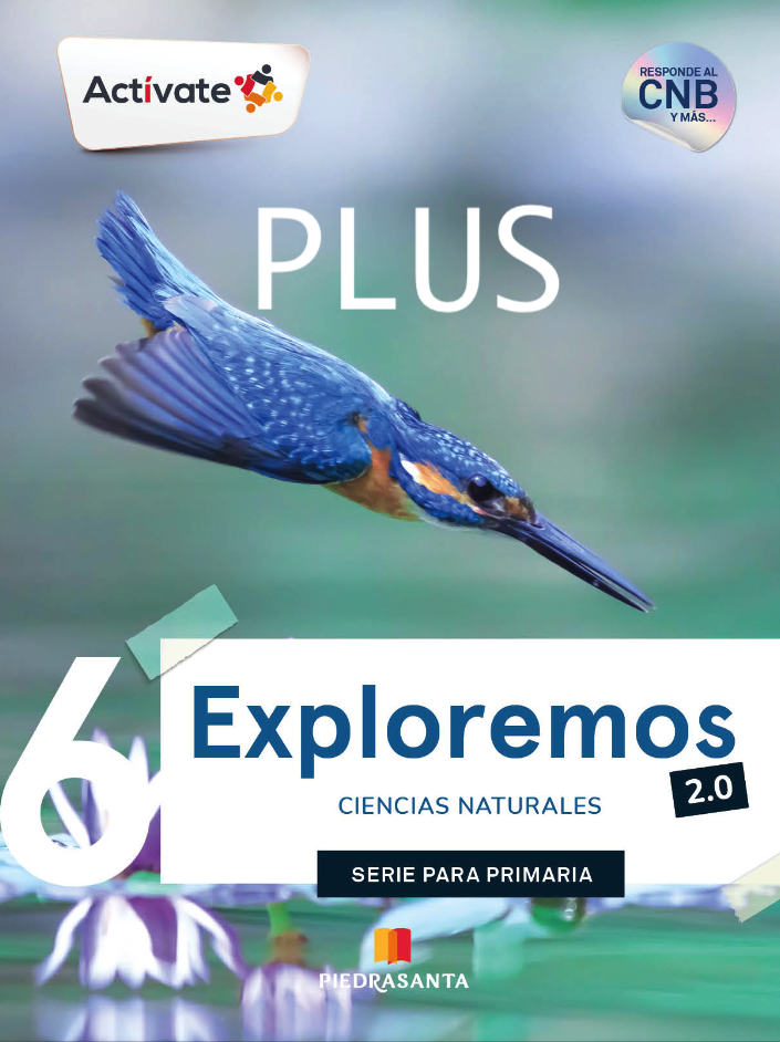 [PL-CCNN6] ACTIVATE EXPLOREMOS 6 2.0 PLUS | PIEDRASANTA