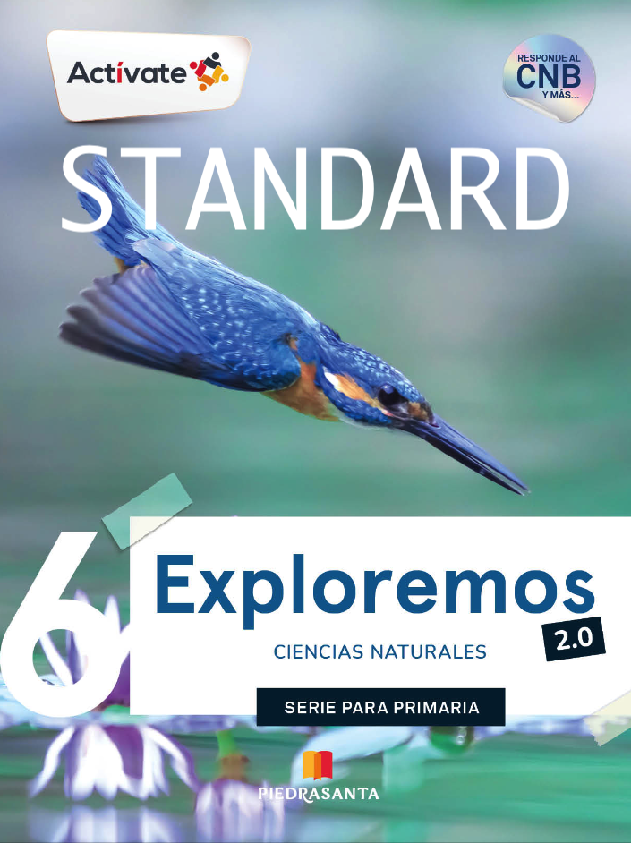 [ST-CCNN6] ACTIVATE EXPLOREMOS 6 2.0 STANDARD | PIEDRASANTA